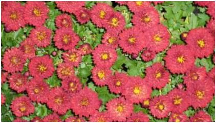 ALWAYS 続・三丁目の夕日