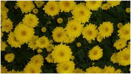 ALWAYS 続・三丁目の夕日