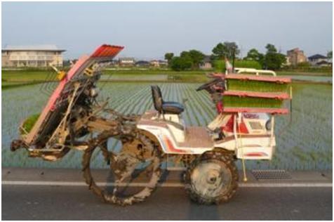 A　SCENE　FROM　THE　NEIGHBORHOOD　4