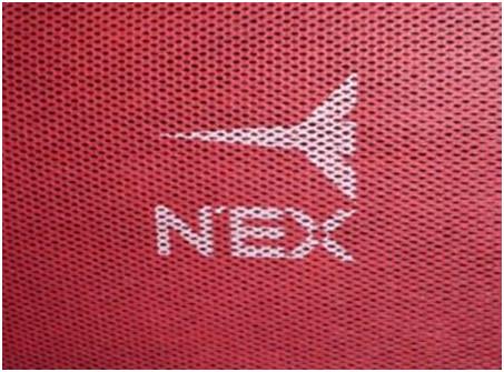 MARCH 2009 WINTERREISE / ©NANPOW PRESS