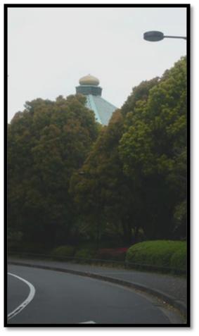 生誕100年 ジャクソン・ポロック展