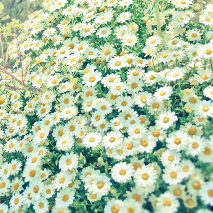 初秋の潮風ハウス/硲敏彦