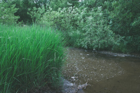 心地よいまどろみ